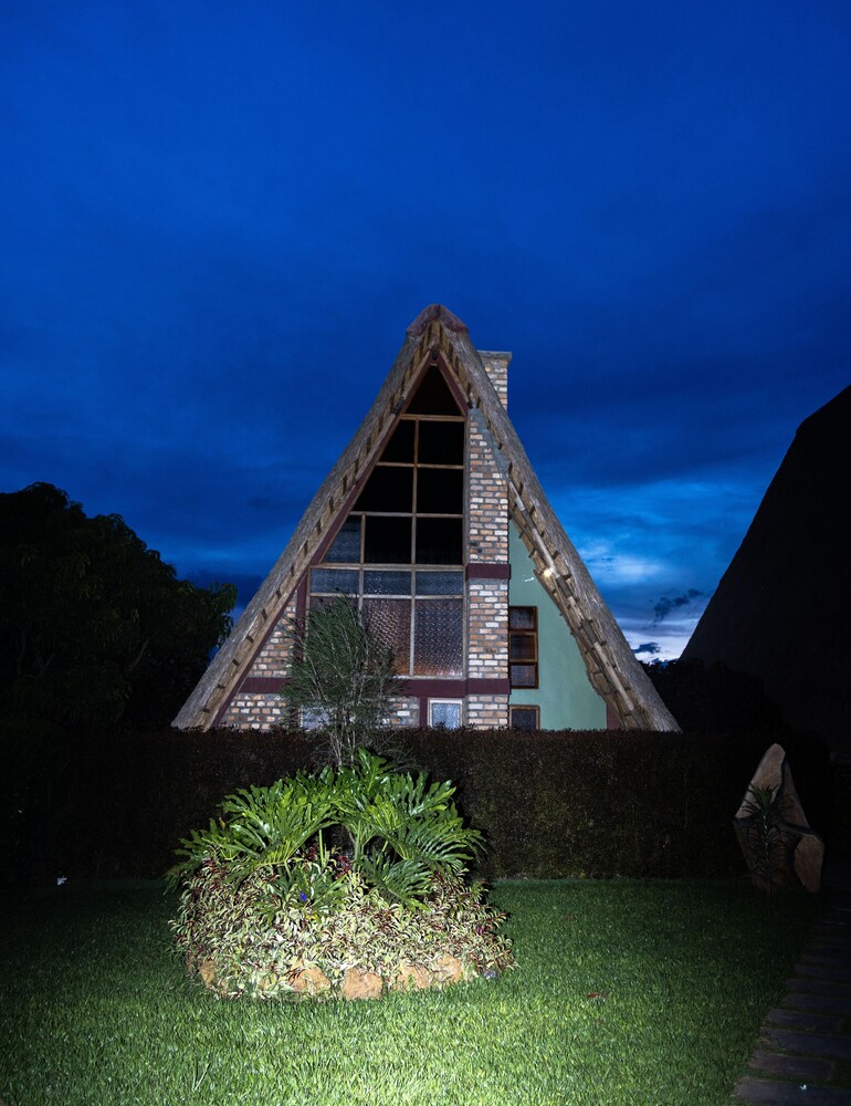 Photo 42