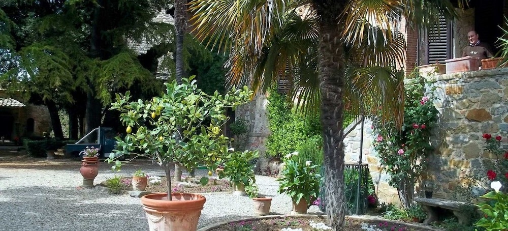 Photo 45