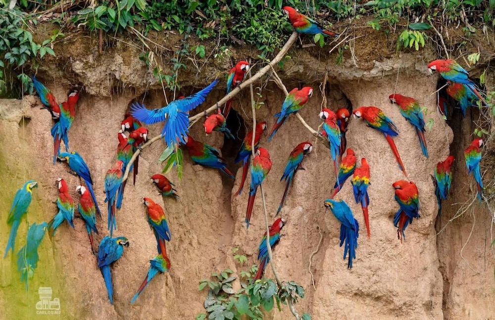 Monte Amazonico Lodge