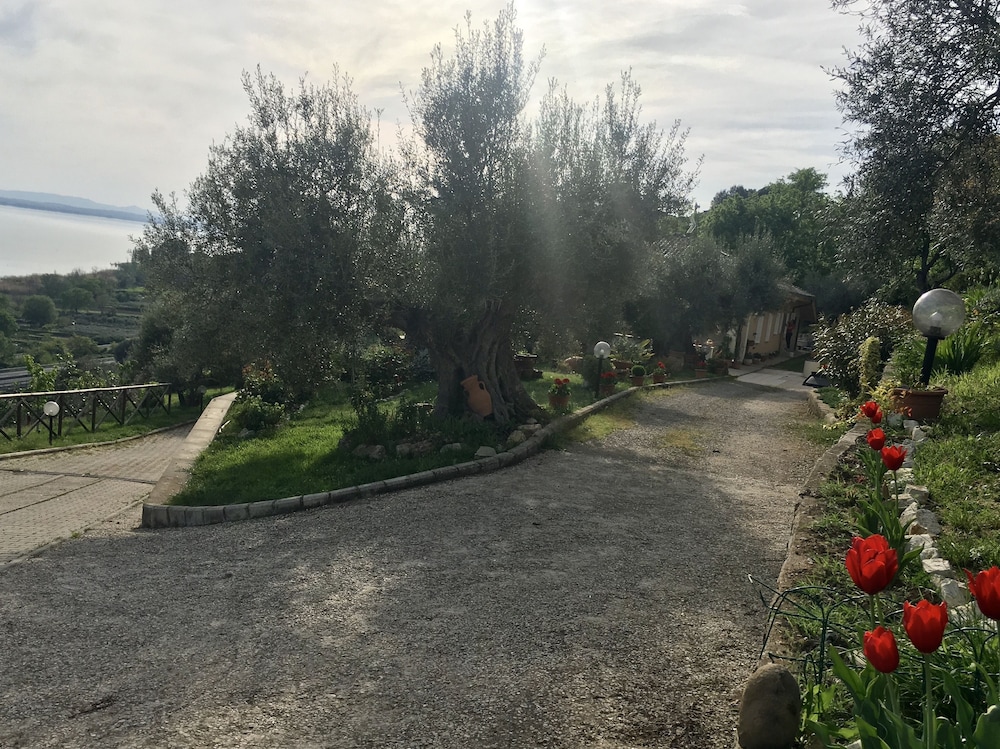 B&B Torre del Lago Trasimeno