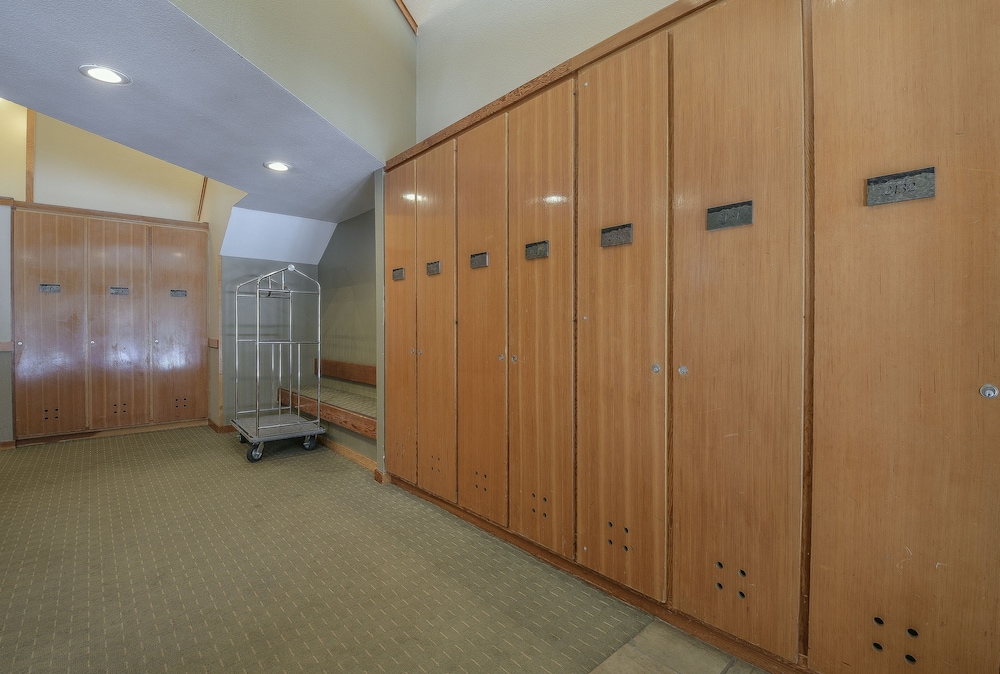 Pines 2169