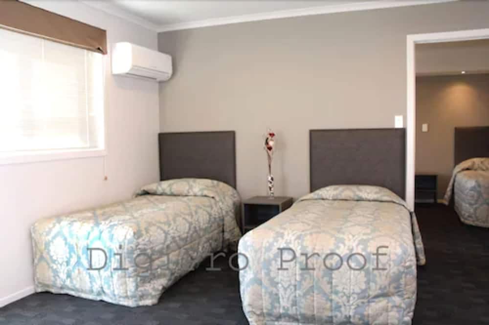 Auckland Phoenix Palm - Image 3