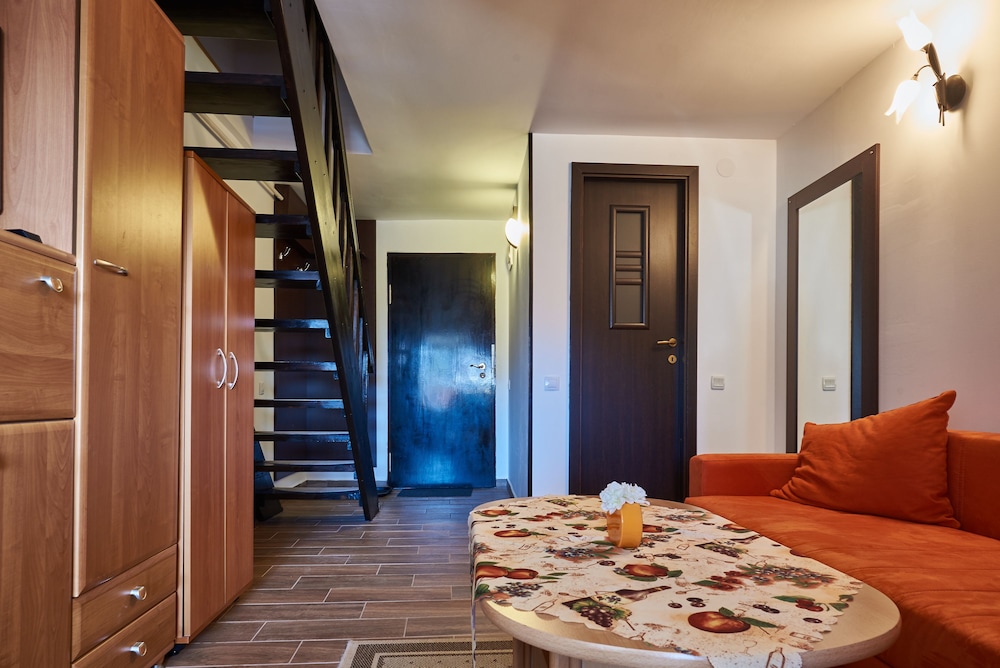 Apartment Poiana Stechil view 2