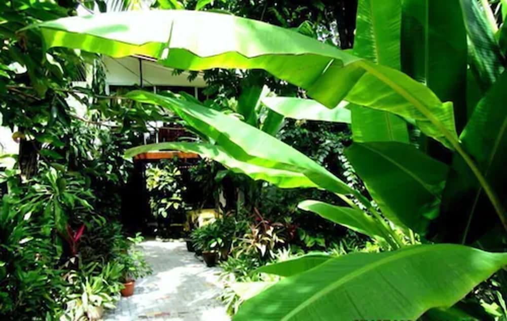 Hotel Belvedere - Property Image 5