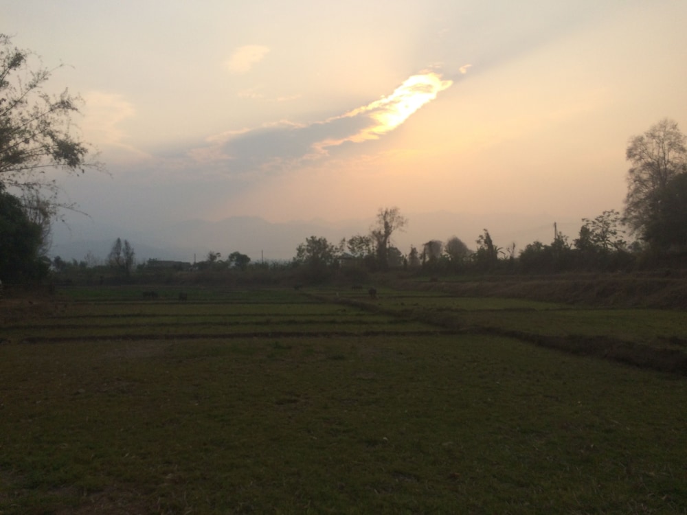 Suan Pra - Inn