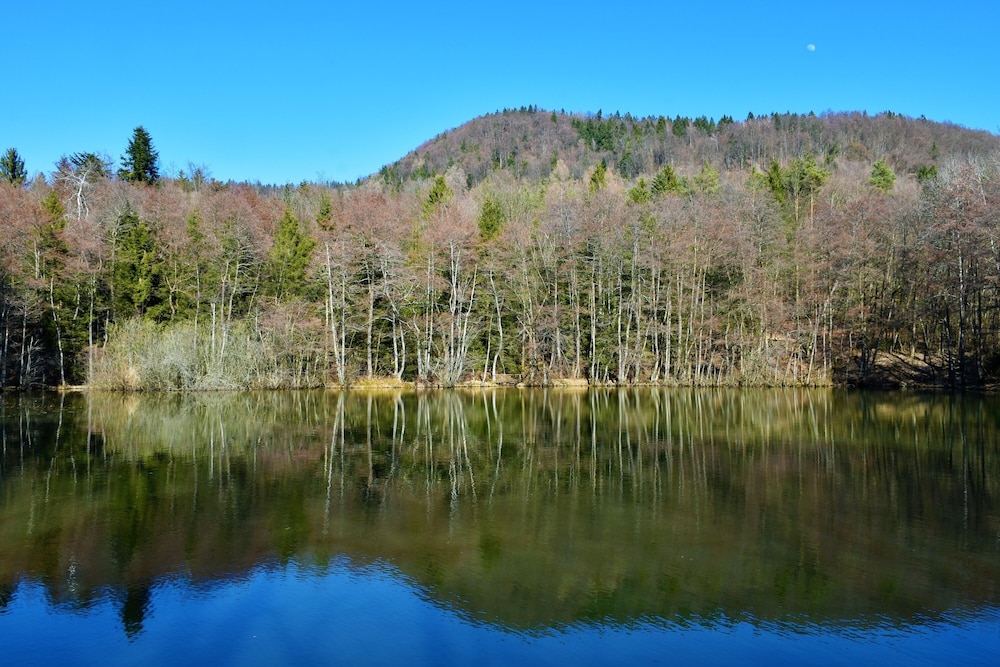 Mt Krvavec Apartment Story