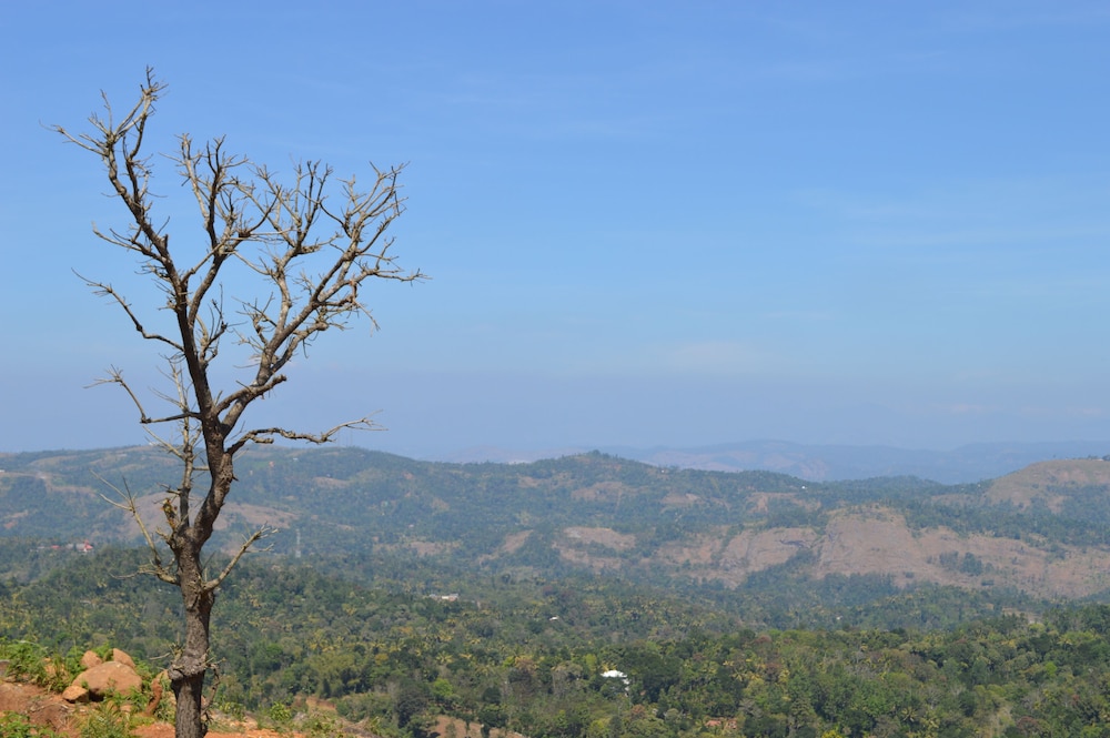 ASHRAMAM HEALTH RESORT