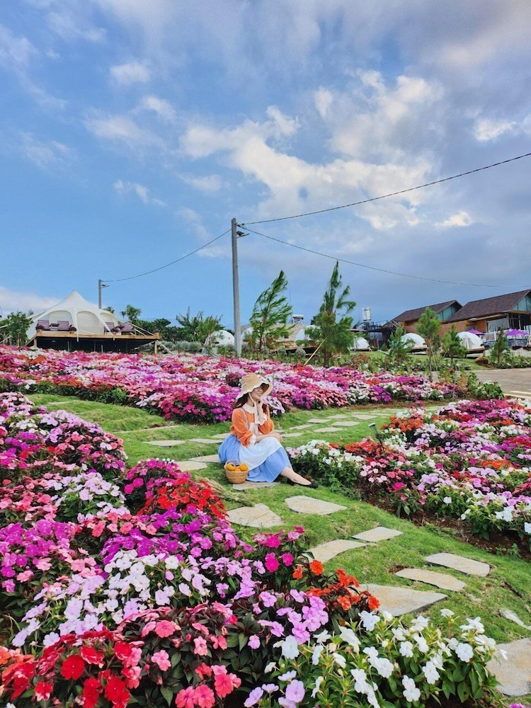 La Fleur Glamping Bao Loc view 2