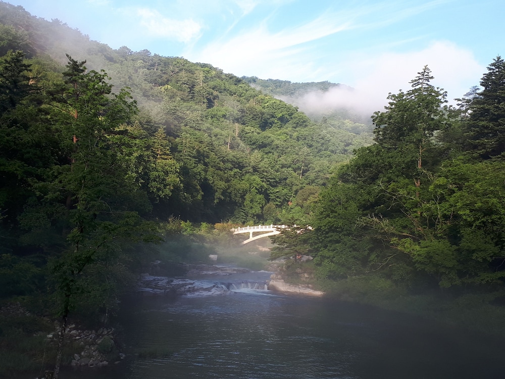 Odae Mountain Golden Light Pension