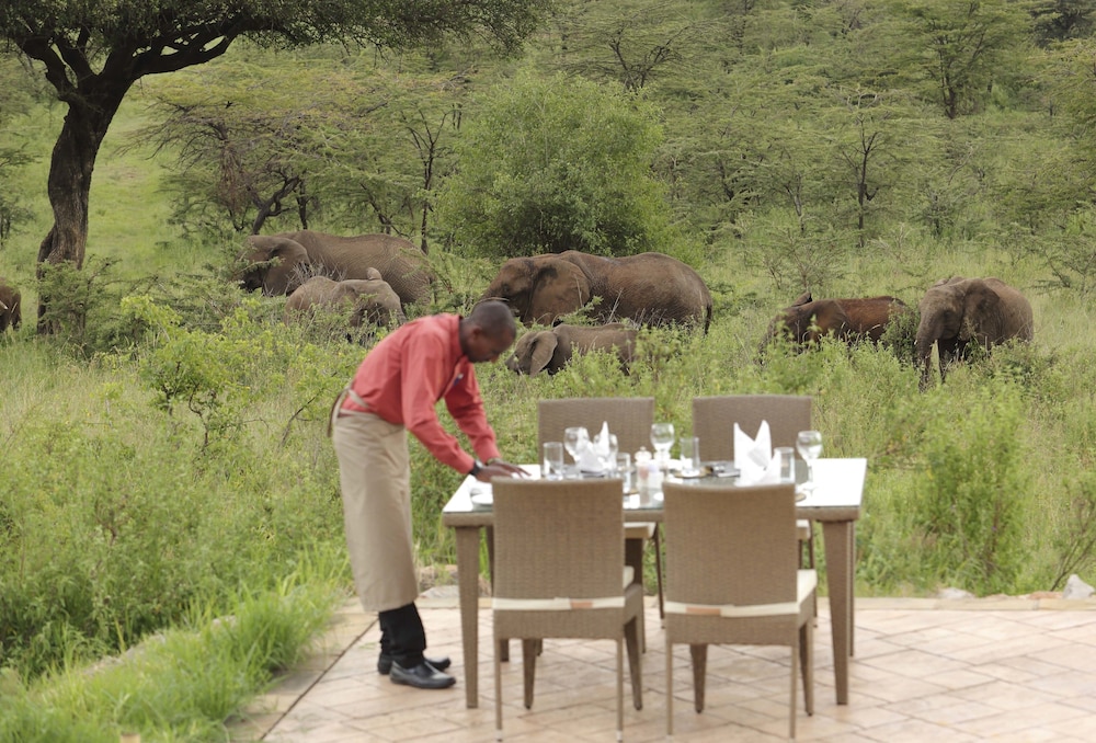 Spirit Of The Masai Mara