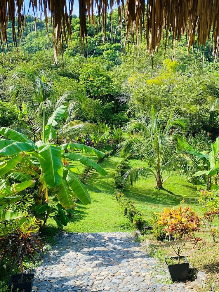 Magic Greeen Tayrona