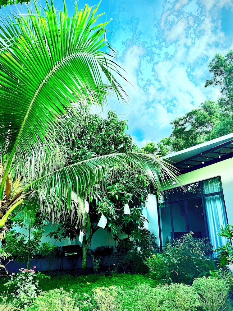 HOMESTAY HALONA