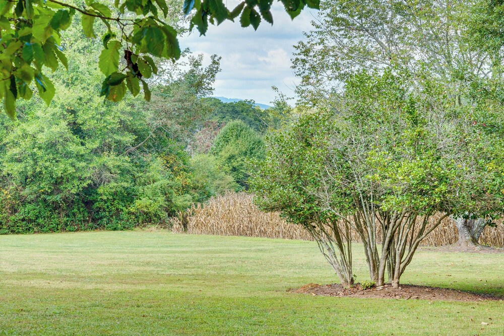 3 Mi to Dtwn Greer: Mountain-view Home!