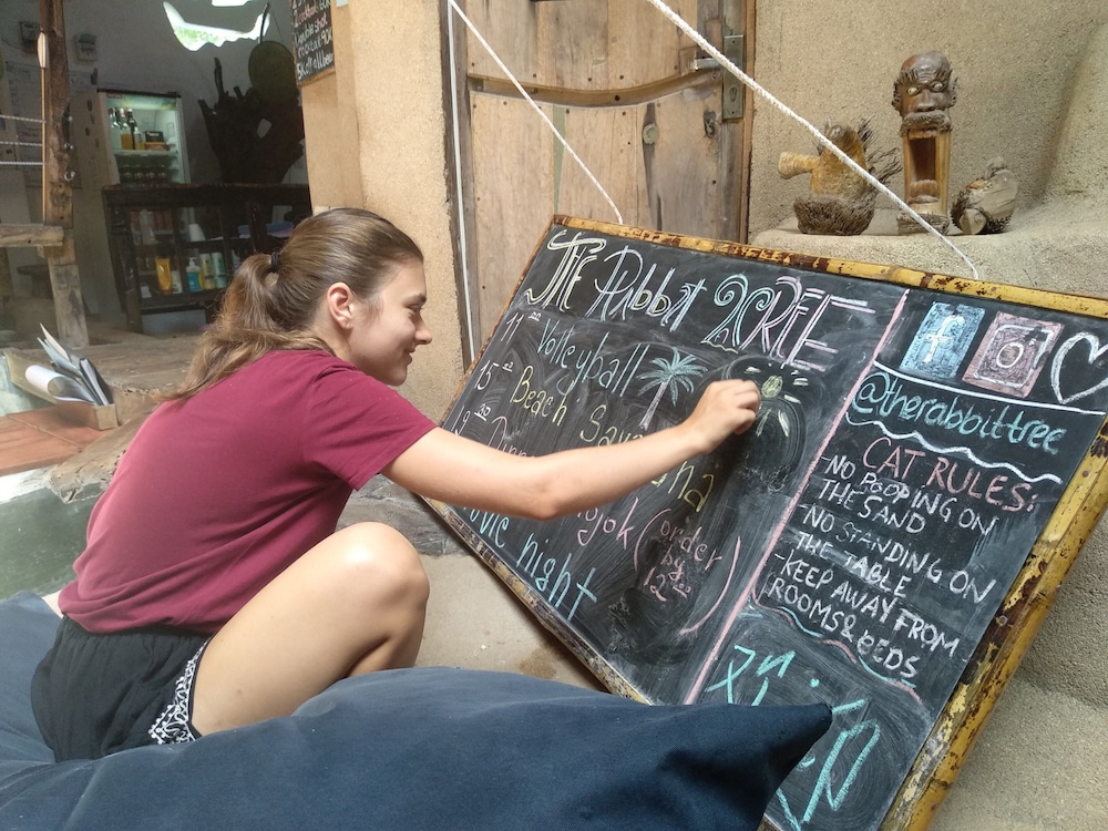The Rabbit Tree - Hostel