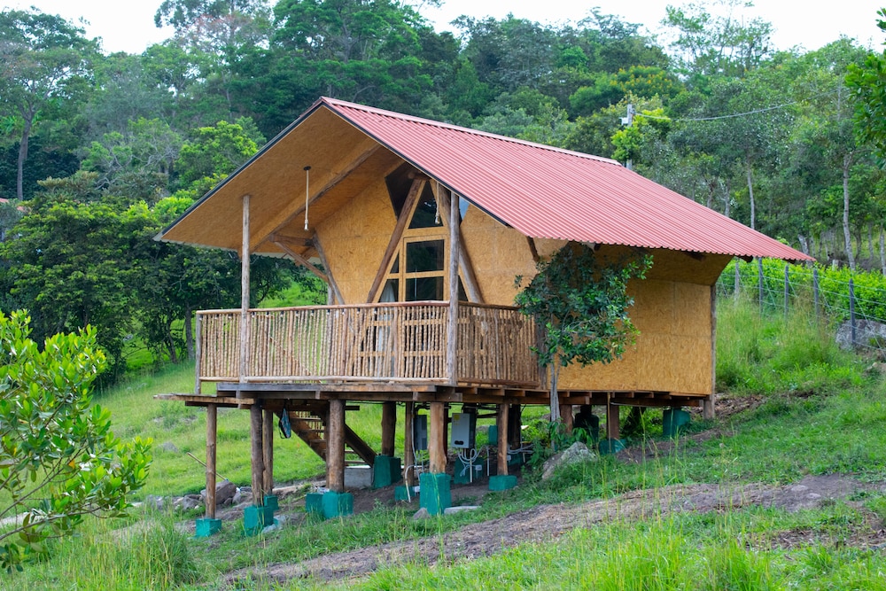 Lodge Laguna Guaitipán Ancestral view 4