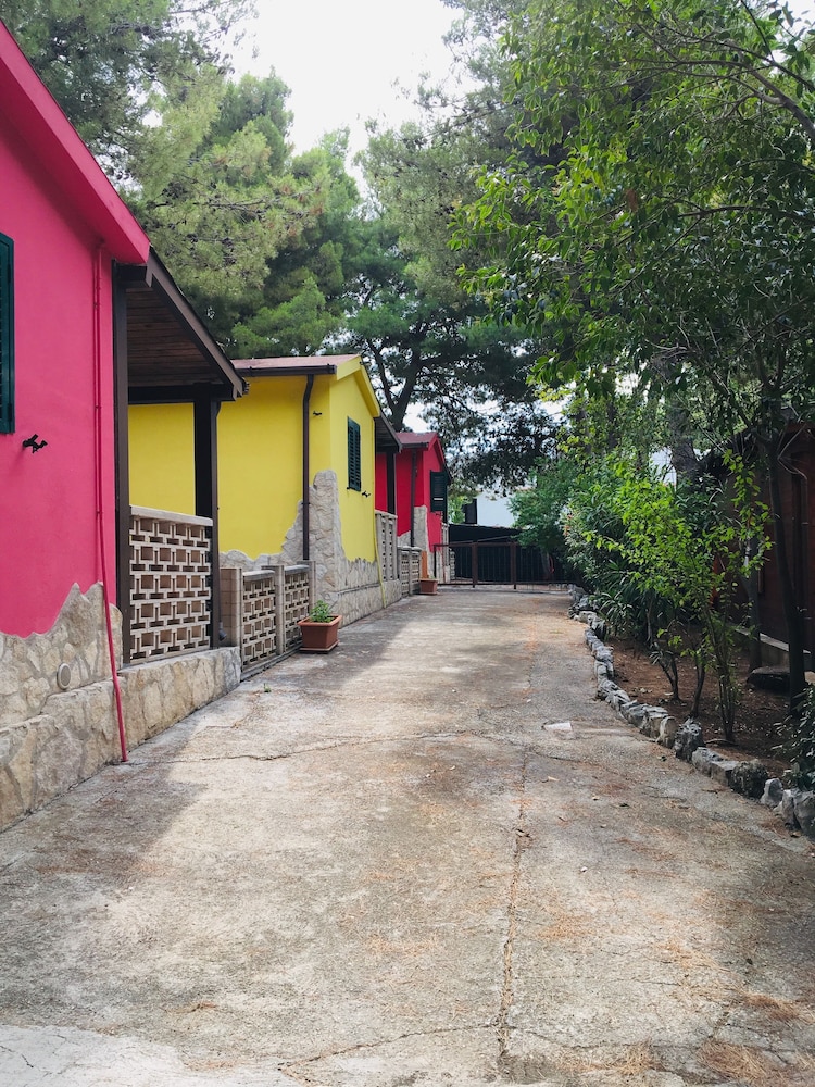 Photo 22