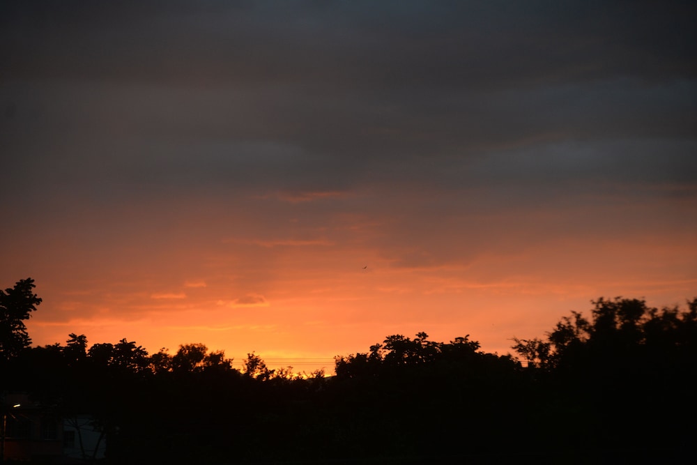 Photo 39