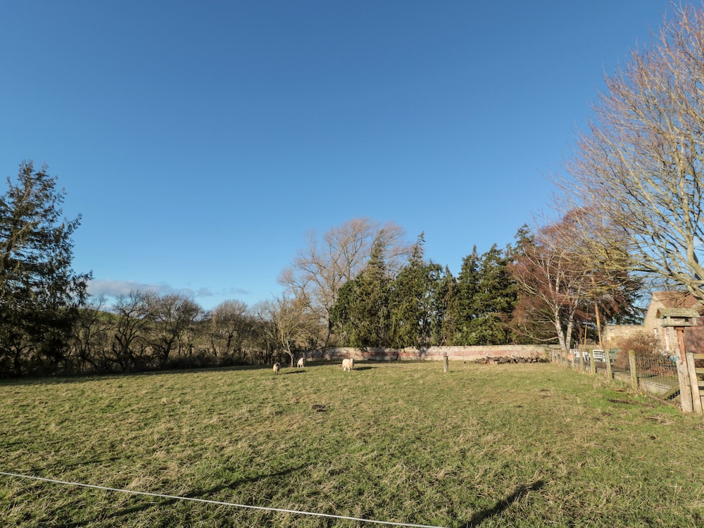 Cheviot View