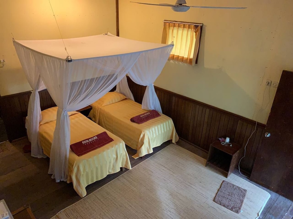 Rimba Orangutan Eco Lodge