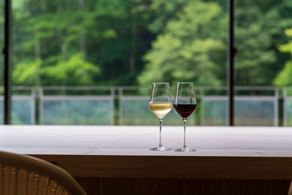 KAMENOI HOTEL NIKKO YUNISHIGAWA ALL-INCLUSIVE RESORT
