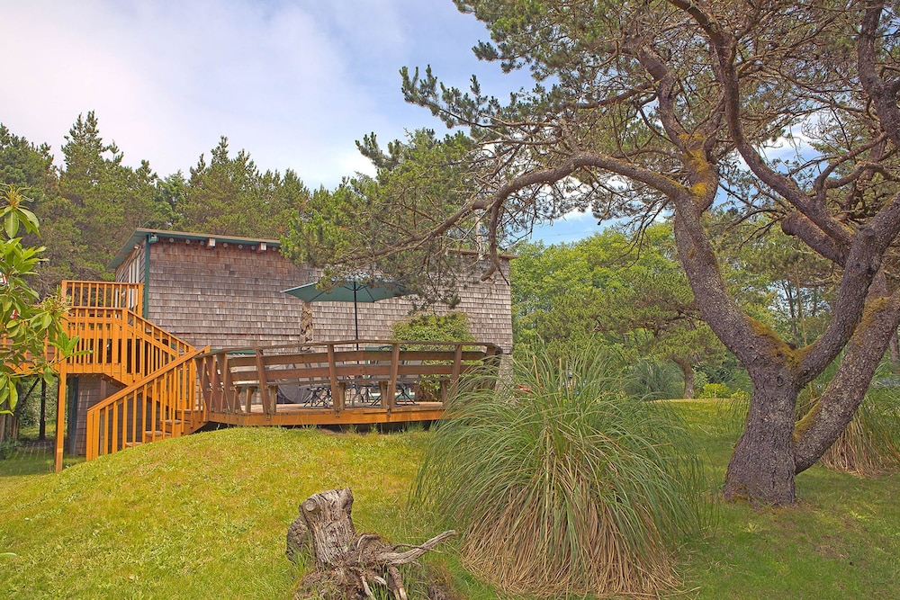 Dragonfly Cabin Westport Wonderful
