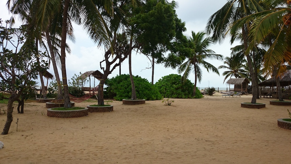 Wellé Wadiya