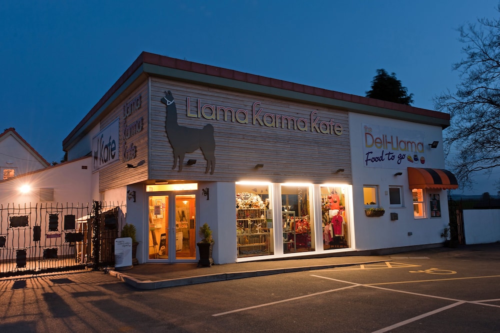 Llamas Pyjamas