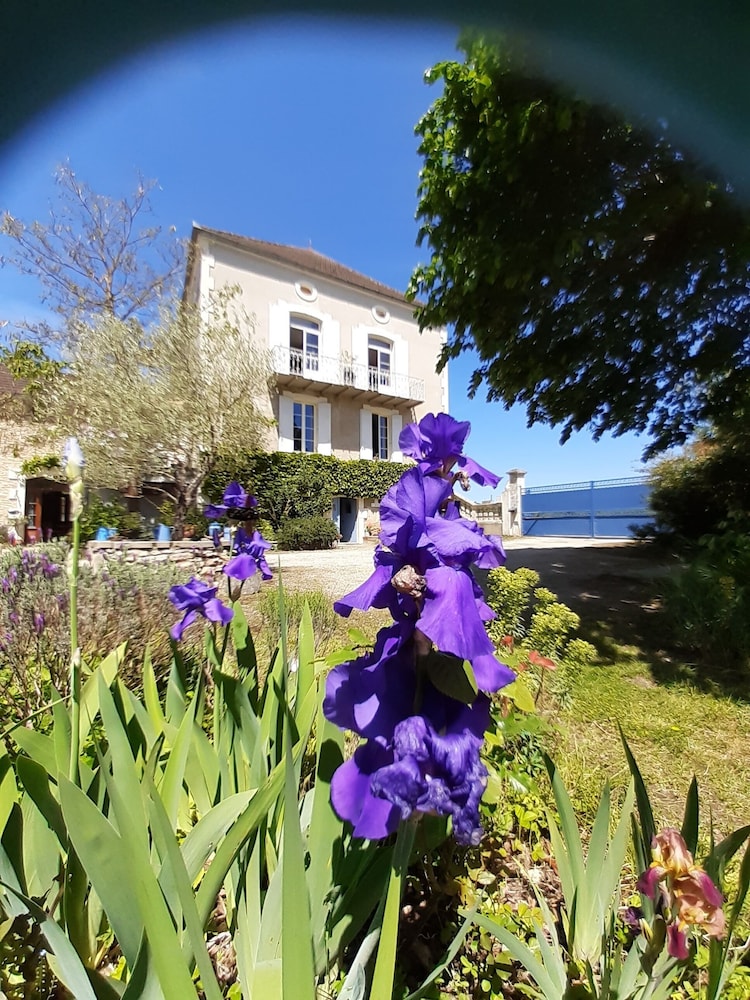Le clos de la Salamandre