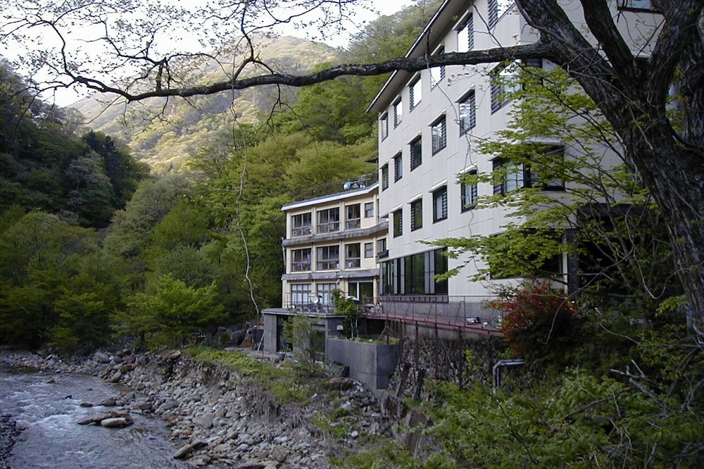 Photo 41