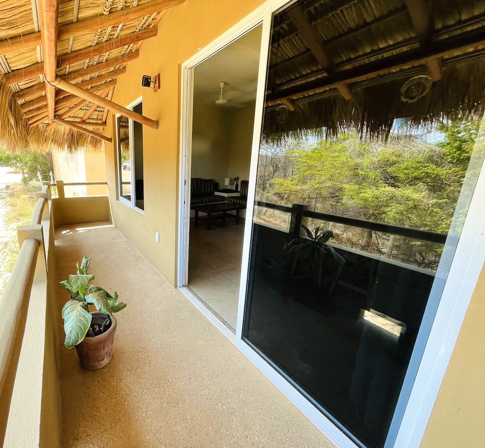 bonobo living apartments view 5