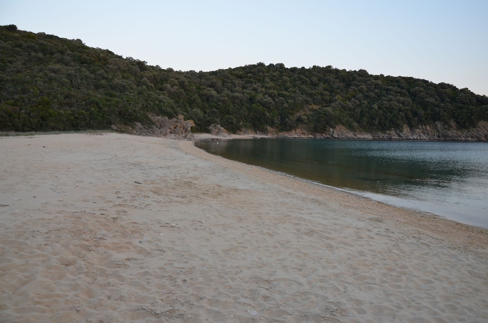Helianthus Guesthouse