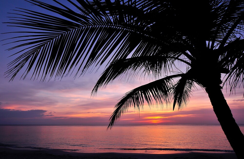 Mayan Princess Beach & Dive Resort - All Inclusive