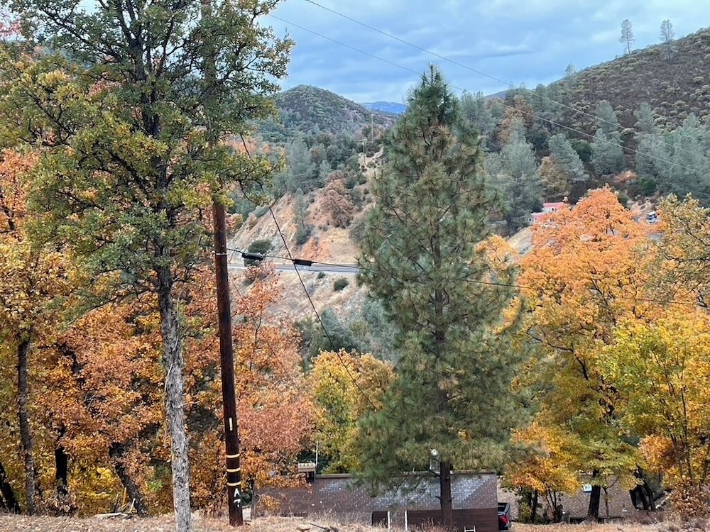 Yosemite Bug Rustic Mountain Resort