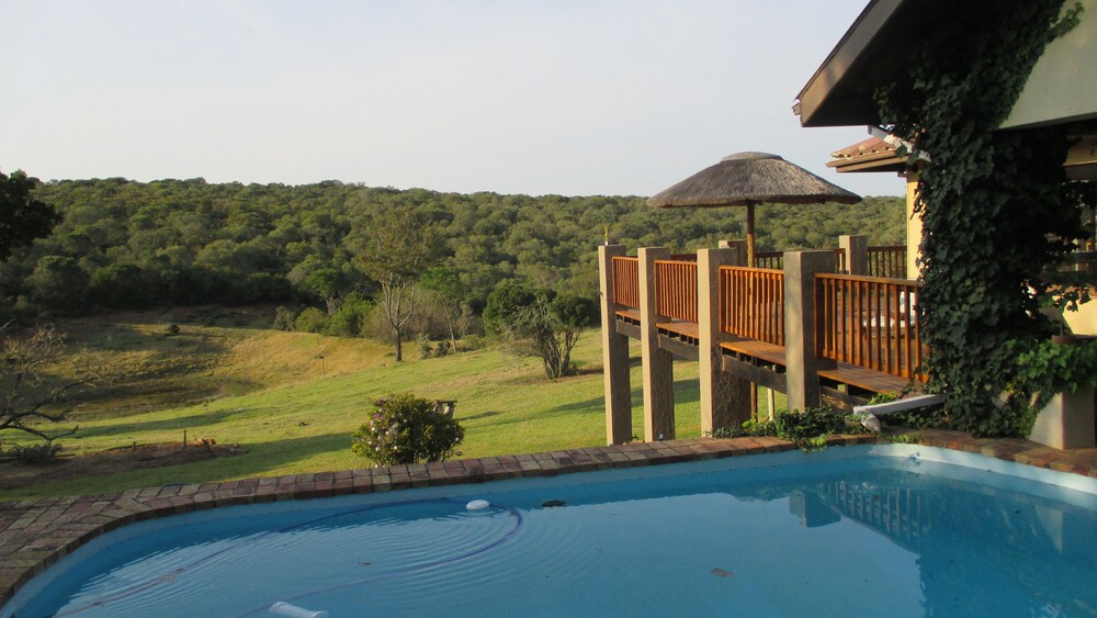 Aloe and Elephant Lodge