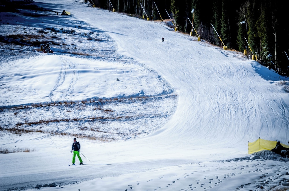 Ski Tip #8716