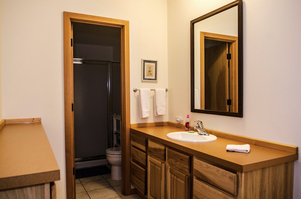 Mt Baker Rim Cabin 70 A pet Friendly Vacation Home With a hot tub and Wifi