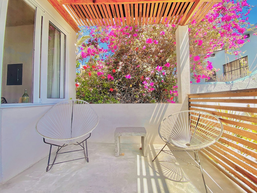Perro Surfero Hotel Boutique - Todos Santos, BCS