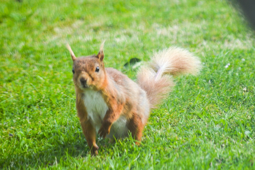 Photo 49