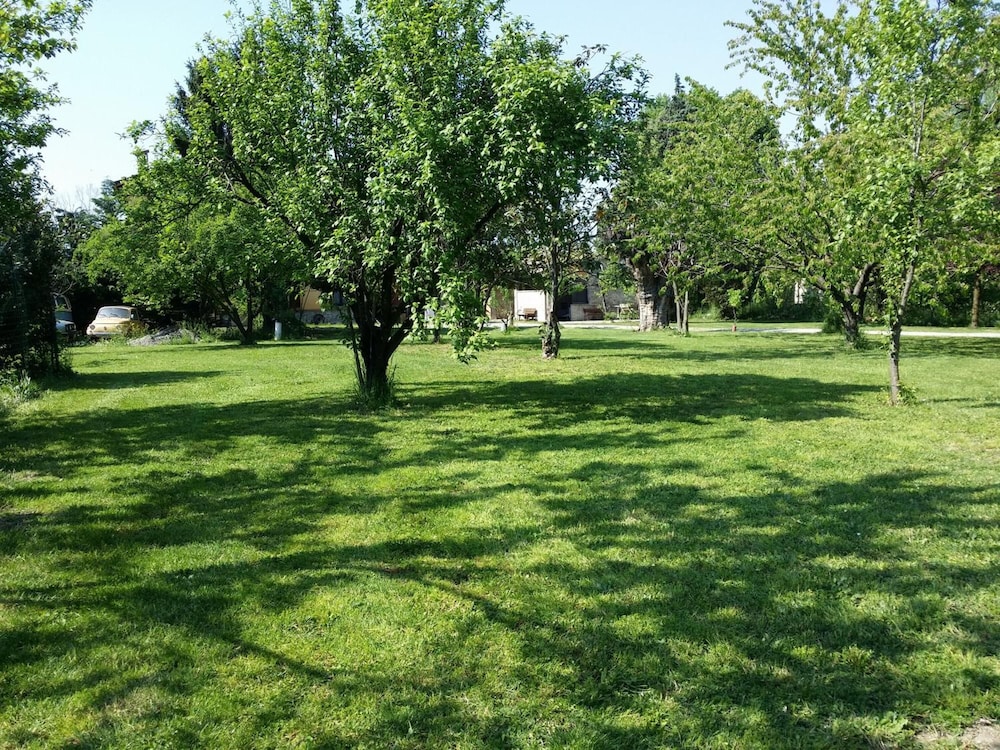 Photo 39