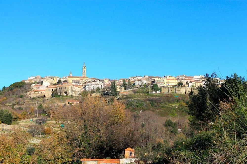 Photo 45