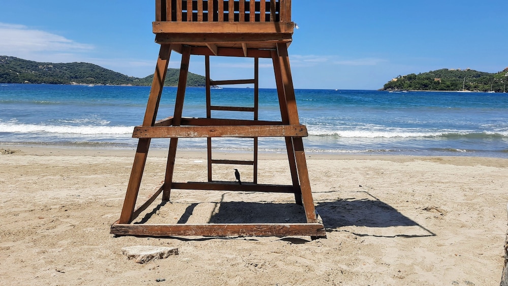 Bottle Tree House