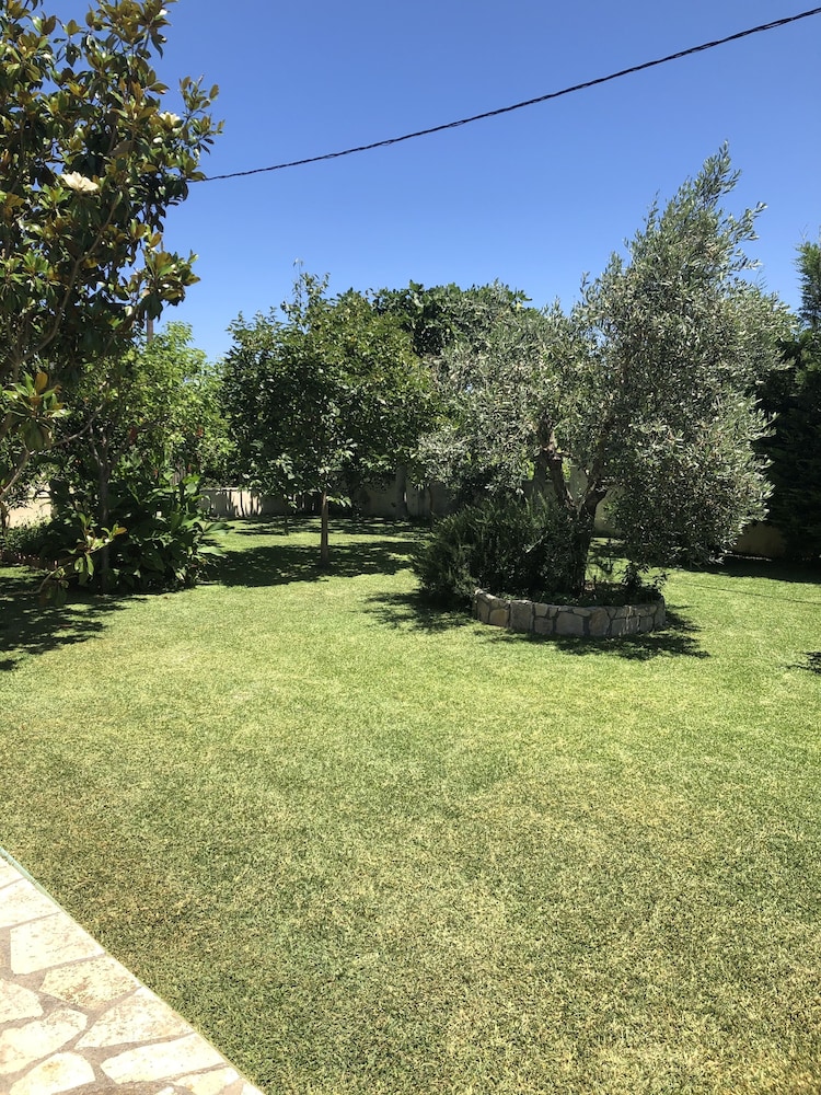 Photo 33