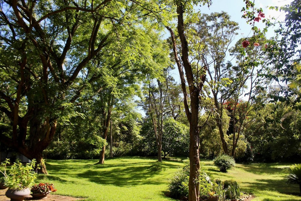 2 Bedroomed House With a Lovely Garden - 2177