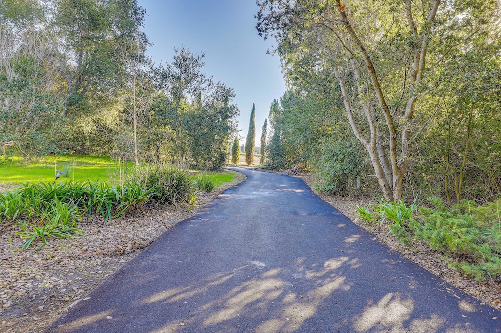 Petaluma Vacations - Charming Petaluma Cottage w/ Grill Near Wineries - Property Image 10