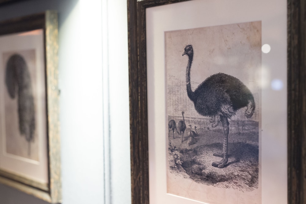 The Ostrich Inn