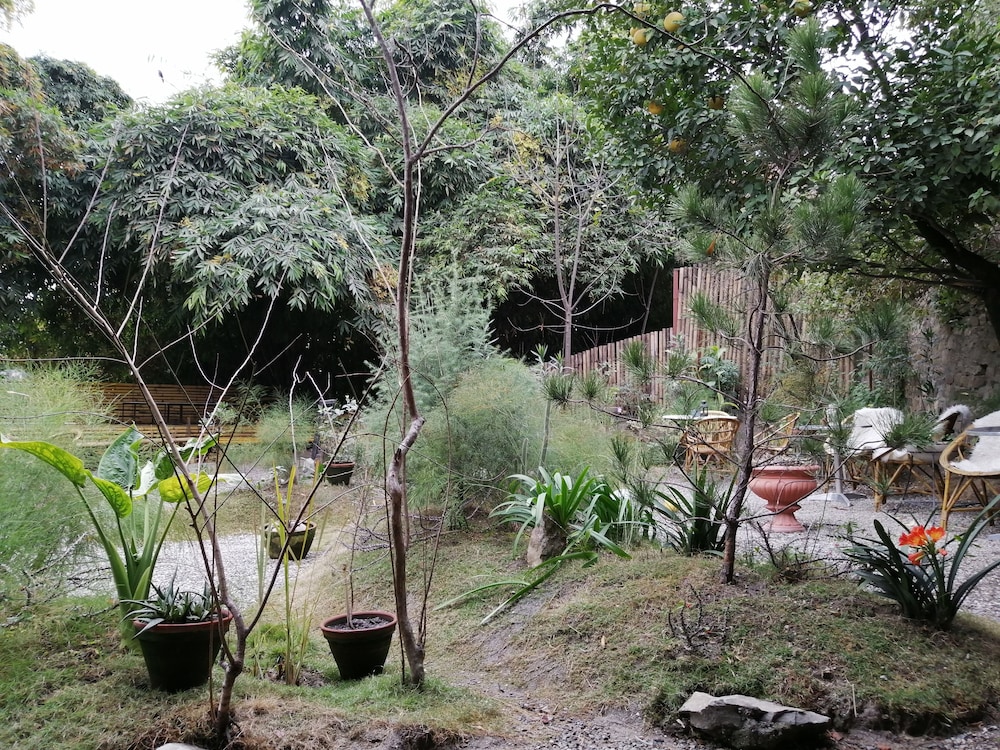 Photo 28