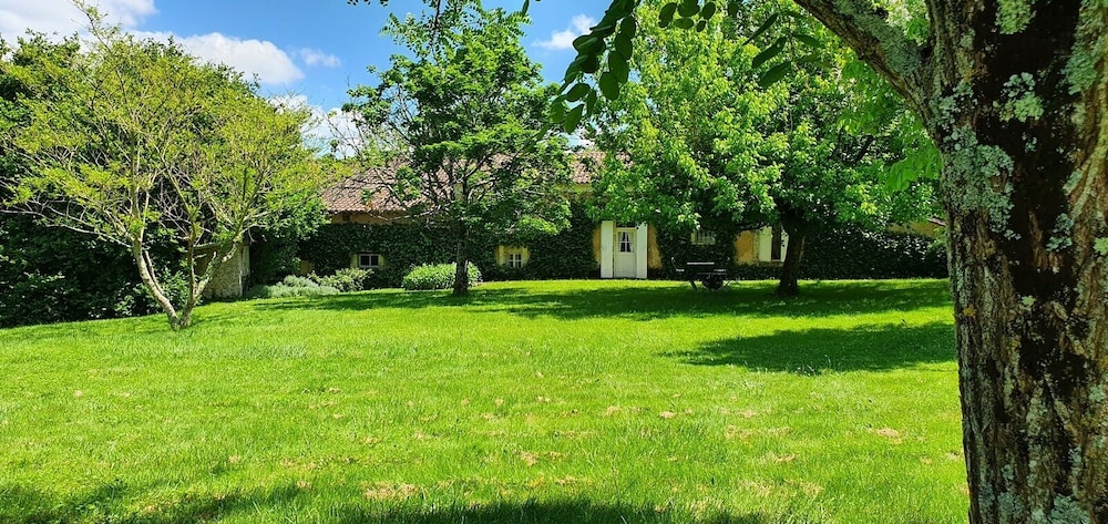 Photo 28
