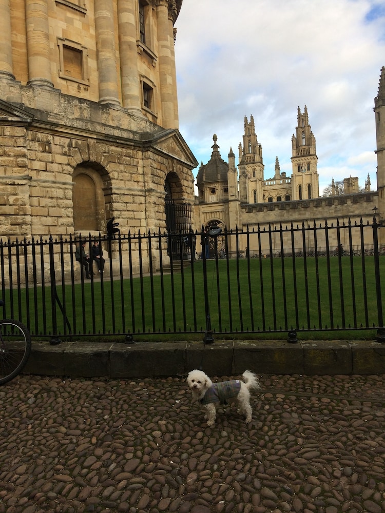 Arts & Bichons B&B