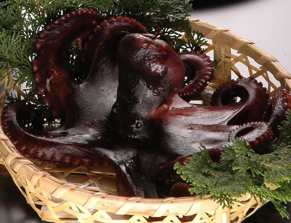 Himakajima Isuzukan
