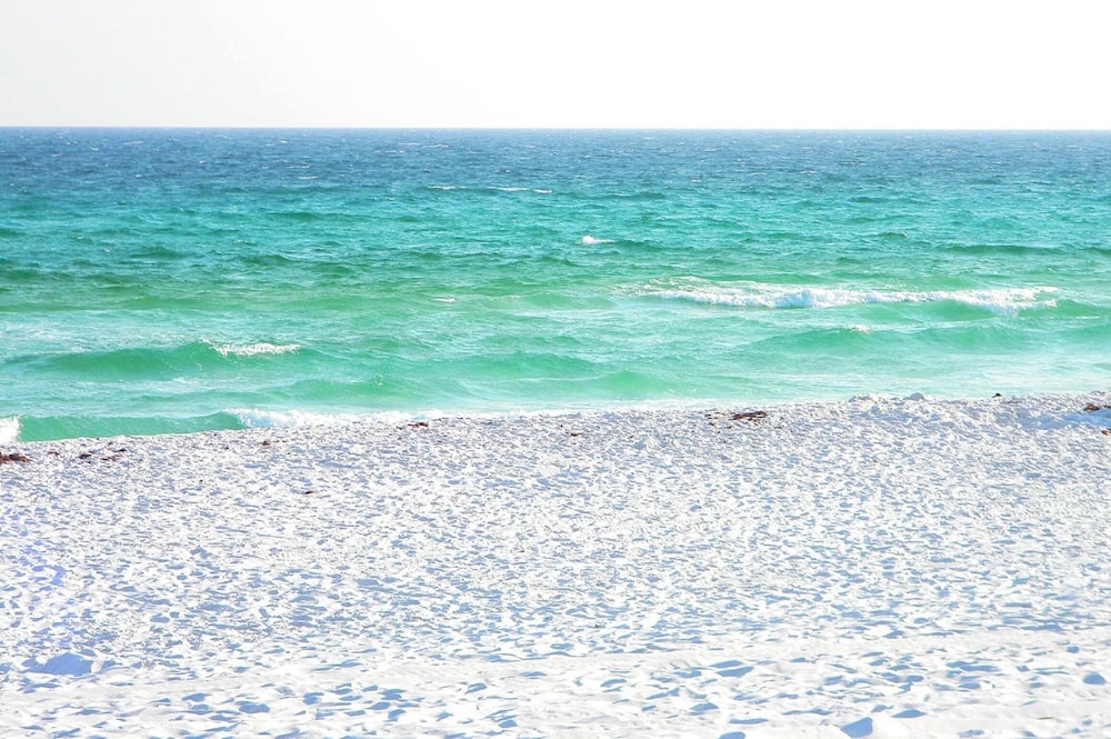 Waters Edge #213- Sea Dreams